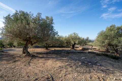 Finca i Tortosa, Tarragona, Tortosa - € 95.000 | Ref: 121 - foto 34