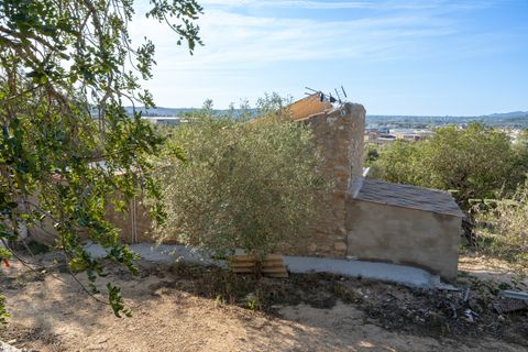 Finca i Tortosa, Tarragona, Tortosa - € 95.000 | Ref: 121 - foto 35