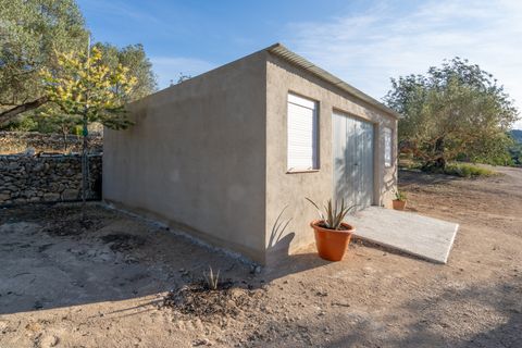 Finca i Tortosa, Tarragona, Tortosa - € 95.000 | Ref: 121 - foto 24