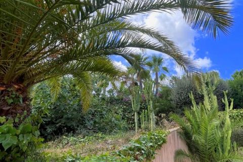 Lejlighed i Peguera, Mallorca, Peguera - € 890.000 | Ref: EE2066 - foto 3