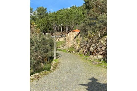 Cortijo i Tabuaco, Viseu, Tabuaco - € 200.000 | Ref: MHI301 - foto 32