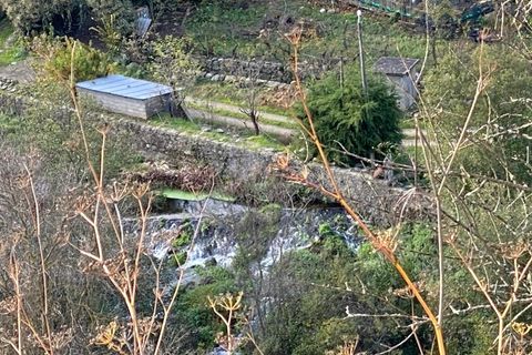 Cortijo i Tabuaco, Viseu, Tabuaco - € 200.000 | Ref: MHI301 - foto 36