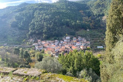 Cortijo i Tabuaco, Viseu, Tabuaco - € 200.000 | Ref: MHI301 - foto 39