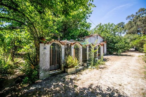 Helårsgrund i Seixal, Setubal, Seixal - € 950.000 | Ref: 126820 - foto 24