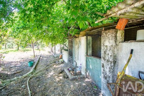 Helårsgrund i Seixal, Setubal, Seixal - € 950.000 | Ref: 126820 - foto 25