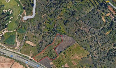 Helårsgrund i Silves, Faro, Silves - € 48.000 | Ref: C0507-00068 - foto 5