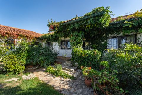 Villa a Alcobaca, Leiria, Alcobaca - € 650.000 | Ref: 222230198 - foto 2