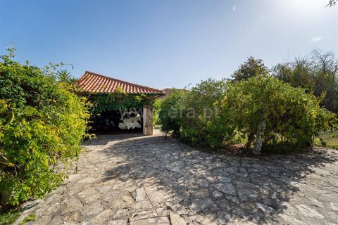 Villa a Alcobaca, Leiria, Alcobaca - € 650.000 | Ref: 222230198 - foto 20