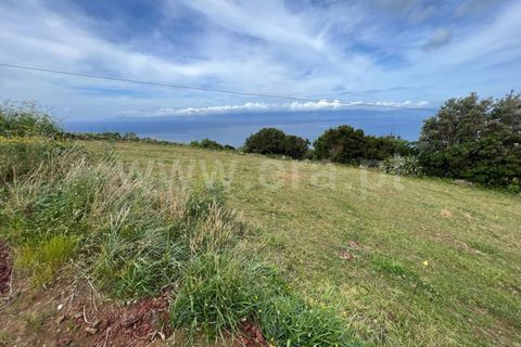 Villa a Sao Roque do Pico, Pico, Sao Roque do Pico - € 377.000 | Ref: 374230220 - foto 30