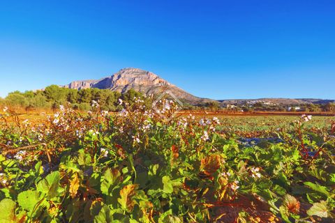 Helårsgrund i Javea, Alicante, Javea - € 566.000 | Ref: JAV51539 - foto 7