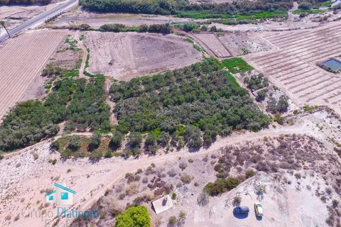 Villa a El Largo, Almeria, El Largo - € 174.800 | Ref: ELPDFJC - foto 17