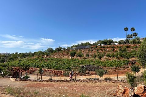 Helårsgrund i Silves, Faro, Silves - € 495.000 | Ref: 122881126-81 - foto 2