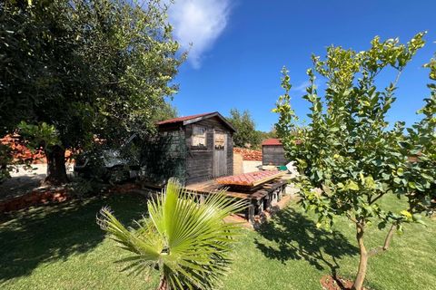 Helårsgrund i Silves, Faro, Silves - € 495.000 | Ref: 122881126-81 - foto 11