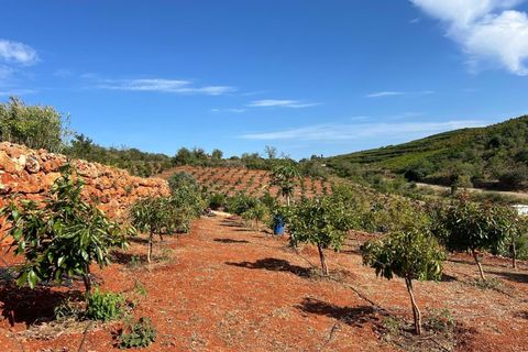 Helårsgrund i Silves, Faro, Silves - € 495.000 | Ref: 122881126-81 - foto 15