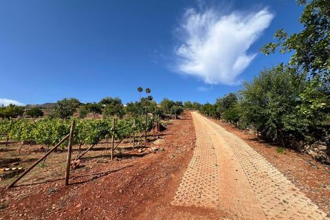Helårsgrund i Silves, Faro, Silves - € 495.000 | Ref: 122881126-81 - foto 17