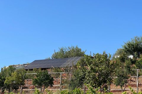 Helårsgrund i Silves, Faro, Silves - € 495.000 | Ref: 122881126-81 - foto 20