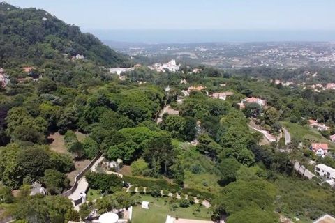 Helårsgrund i Sintra, Lisbon, Sintra - € 1.590.000 | Ref: 121021524-5 - foto 10