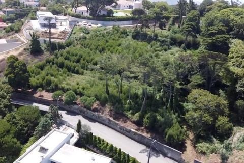 Helårsgrund i Sintra, Lisbon, Sintra - € 1.590.000 | Ref: 121021524-5 - foto 11