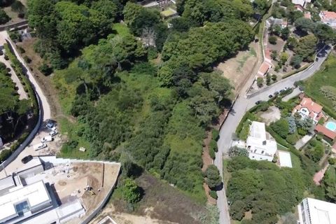 Helårsgrund i Sintra, Lisbon, Sintra - € 1.590.000 | Ref: 121021524-5 - foto 14