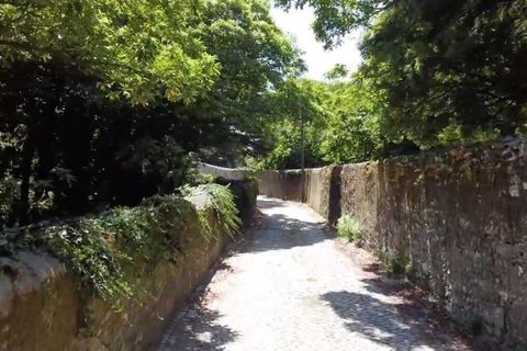 Helårsgrund i Sintra, Lisbon, Sintra - € 1.590.000 | Ref: 121021524-5 - foto 15