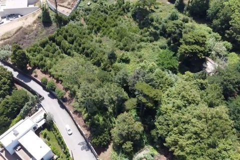 Helårsgrund i Sintra, Lisbon, Sintra - € 1.590.000 | Ref: 121021524-5 - foto 17