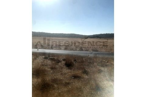 Helårsgrund i Tunes, Faro, Tunes - € 45.000 | Ref: TR-02 - foto 3
