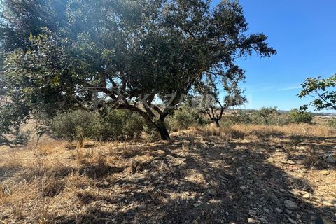 Farm hus i Odemira, Beja, Odemira - € 230.000 | Ref: K-288 - foto 17