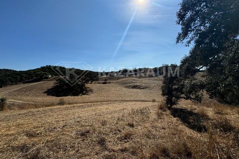 Farm hus i Odemira, Beja, Odemira - € 230.000 | Ref: K-288 - foto 18