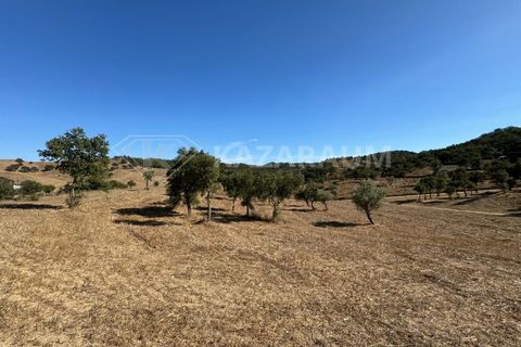 Farm hus i Odemira, Beja, Odemira - € 230.000 | Ref: K-288 - foto 23