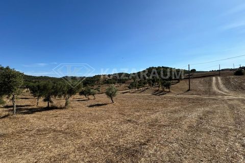 Farm hus i Odemira, Beja, Odemira - € 230.000 | Ref: K-288 - foto 25