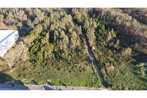 Terra a Lavra, Porto, Lavra - € 4.500.000 | Ref: 6041 - foto 4