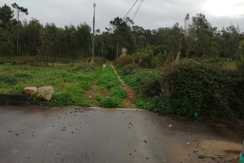 Terra a Lavra, Porto, Lavra - € 4.500.000 | Ref: 6041 - foto 7