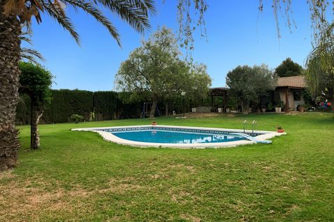 Landejendom i Dolores, Alicante, Dolores - € 525.000 | Ref: F94/3390 - foto 23