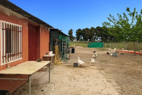 Landejendom i Dolores, Alicante, Dolores - € 525.000 | Ref: F94/3390 - foto 24