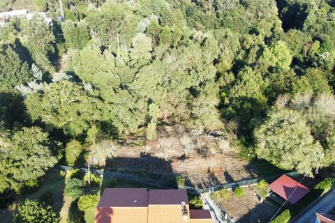 Helårsgrund i Caminha, Viana do Castelo, Caminha - € 174.900 | Ref: 126201003-170 - foto 7