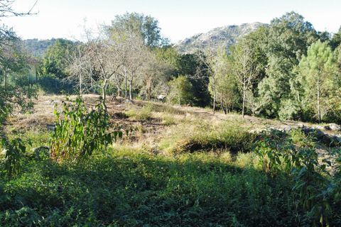 Helårsgrund i Caminha, Viana do Castelo, Caminha - € 174.900 | Ref: 126201003-170 - foto 10