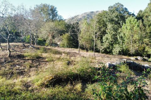 Helårsgrund i Caminha, Viana do Castelo, Caminha - € 174.900 | Ref: 126201003-170 - foto 11