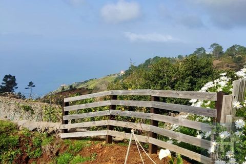 Villa i Calheta, Madeira, Calheta - € 295.000 | Ref: HH_2312MD24 - foto 19