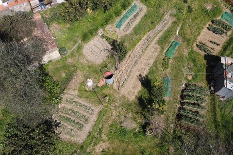 Byhus i Rapallo, Genoa, Rapallo - € 175.000 | Ref: 22738 - foto 25