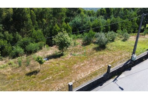 Helårsgrund i Viana do Castelo, Viana do Castelo, Viana do Castelo - € 66.000 | Ref: 2092 - foto 2
