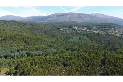Helårsgrund i Viana do Castelo, Viana do Castelo, Viana do Castelo - € 66.000 | Ref: 2092 - foto 9