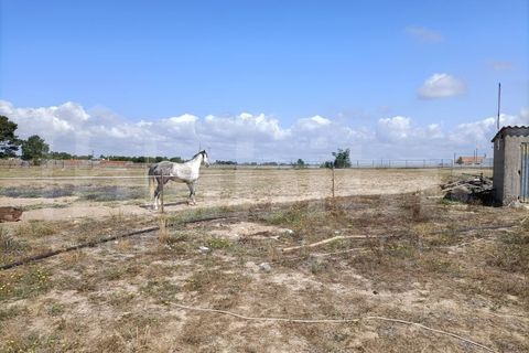 Helårsgrund i Benavente, Santarem, Benavente - € 395.000 | Ref: HB3566 - foto 6