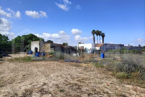 Helårsgrund i Benavente, Santarem, Benavente - € 395.000 | Ref: HB3566 - foto 8