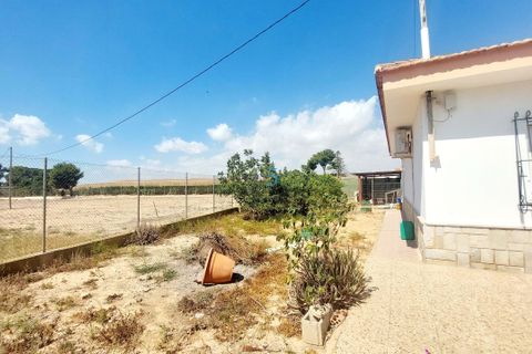 Villa i Roda, Murcia, Roda - € 530.000 | Ref: P6761 - foto 33