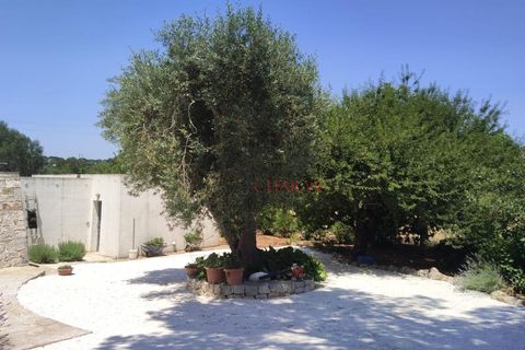 Landejendom i Cisternino, Brindisi, Cisternino - € 295.000 | Ref: 300 - foto 4