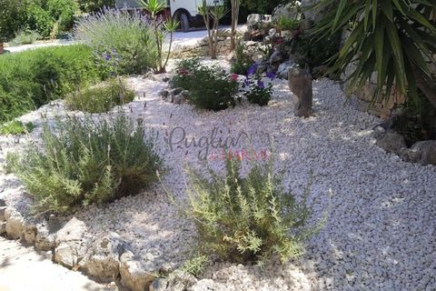 Landejendom i Cisternino, Brindisi, Cisternino - € 295.000 | Ref: 300 - foto 8