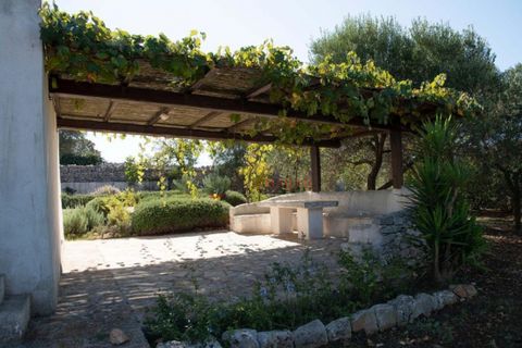 Landejendom i Cisternino, Brindisi, Cisternino - € 295.000 | Ref: 300 - foto 6