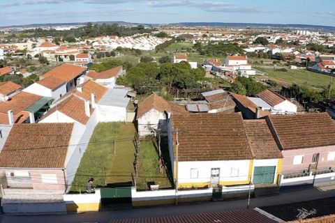 Helårsgrund i Riachos, Santarem, Riachos - € 48.500 | Ref: TER_139 - foto 1