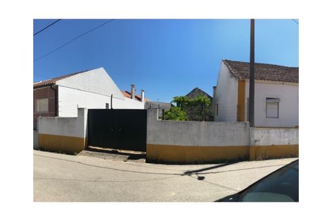 Helårsgrund i Riachos, Santarem, Riachos - € 48.500 | Ref: TER_139 - foto 2
