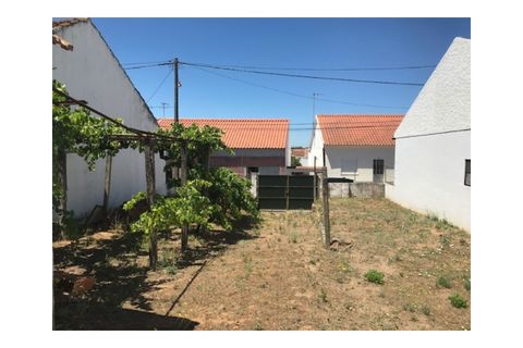 Helårsgrund i Riachos, Santarem, Riachos - € 48.500 | Ref: TER_139 - foto 3
